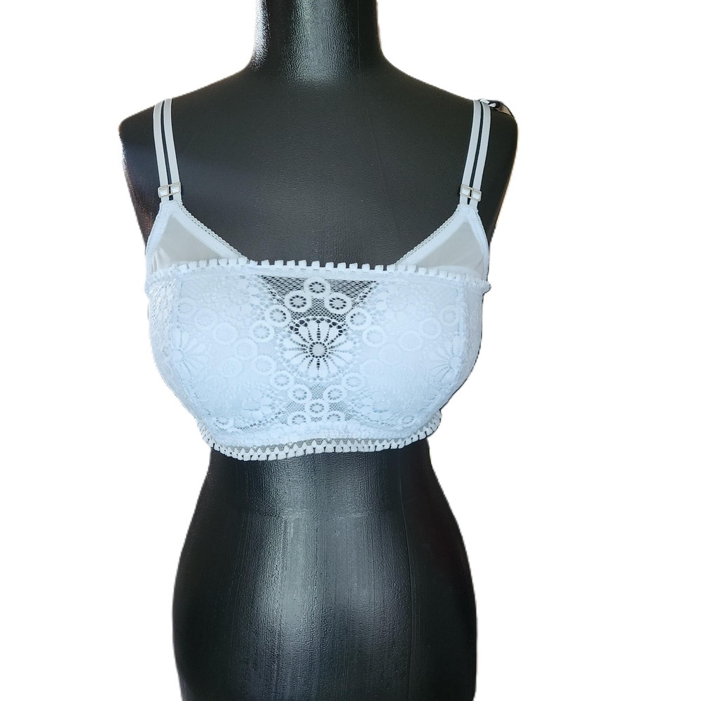 Aerie Blue Lace Bra Adjustable Straps Sheer 34D NWT